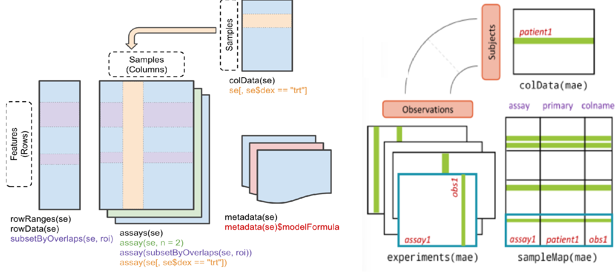 **SummarizedExperiment** and **MultiAssayExperiment** classes.