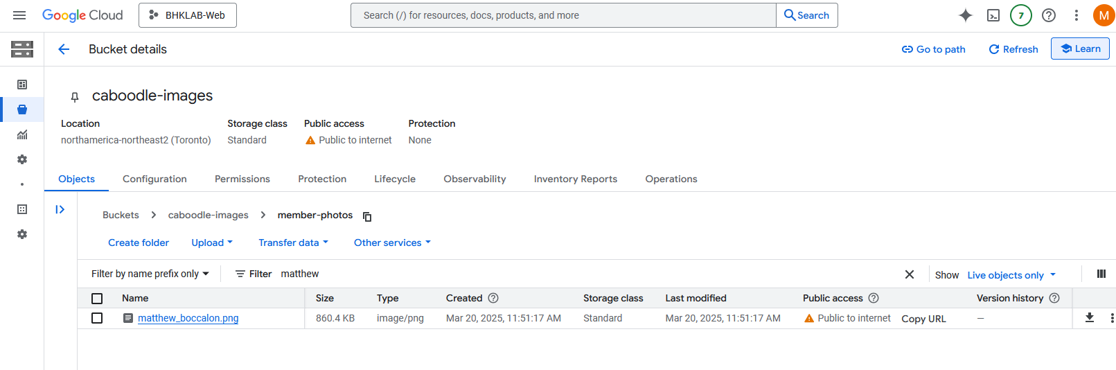 caboodle-member-bucket